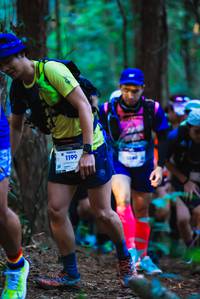 BIB: 1199
                            <button type="button" onclick="openModal(19359923)" class="btn btn-primary btn-sm float-right btn-popup" data-toggle="modal" data-target=".modal-high-quality">
                        <i class="fas fa-shopping-cart"></i> Add to Cart
                    </button>
                                            <button type="button" onclick="isThisMe(19359923, true)" class="btn btn-success btn-sm float-right btn-popup btn-isme hidden" data-toggle="tooltip" data-placement="bottom" title="นี่คือรูปของคุณใช่ไหม คลิกที่นี่เพื่อเอาเข้าอัลบั้ม">
                        <i class="fas fa-plus"></i> Add to album
                    </button>
                    <button type="button" onclick="isThisMe(19359923, false)" class="btn btn-warning btn-sm float-right btn-popup btn-isnotme hidden">
                        <i class="fas fa-ban"></i> Remove from album
                    </button>